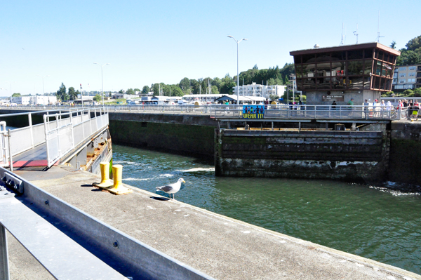 Hiram M. Chittenden Locks